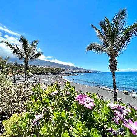 Bonito Estudio Con Wifi, Piscina En Puerto De La Cruz Lejlighed Puerto de la Cruz (Tenerife)